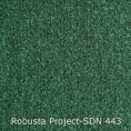 /products/robusta-project-sdn-443/